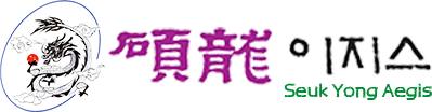 석용이지스